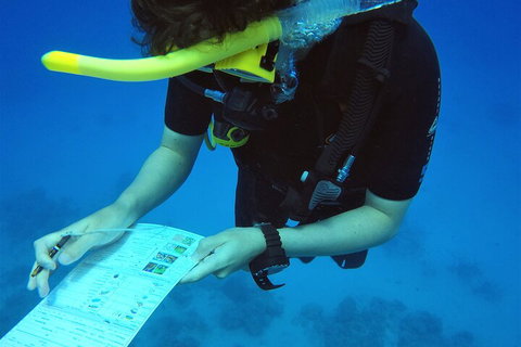 12-Day Great Barrier Reef Marine Conservation Program From Cairns - Australia Accommodation 2