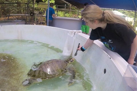 12-Day Great Barrier Reef Marine Conservation Program From Cairns - Australia Accommodation 4