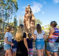 Litchfield National Park Waterfalls and Wildlife Tour from Darwin - Australia Accommodation