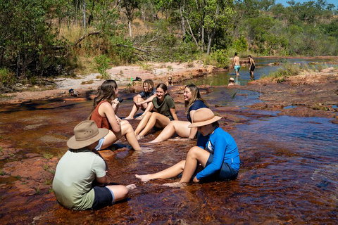 Litchfield National Park Waterfalls And Wildlife Tour From Darwin - Australia Accommodation 1