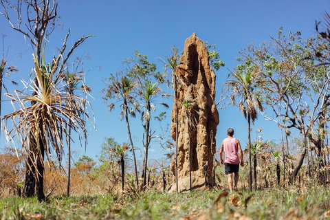 Litchfield National Park Waterfalls And Wildlife Tour From Darwin - Australia Accommodation 4