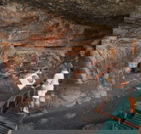 Kakadu National Park Wildlife and Ubirr Rock Art Tour from Darwin City - Australia Accommodation