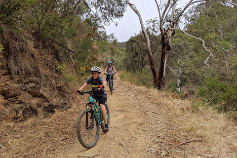 Mount Lofty Descent Bike Tour From Adelaide - Australia Accommodation 0