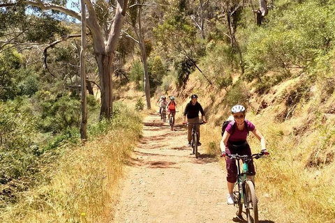 Mount Lofty Descent Bike Tour From Adelaide - Australia Accommodation 3
