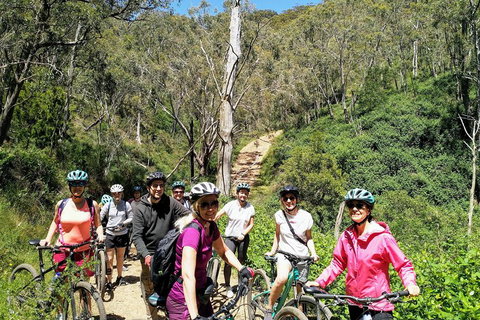Mount Lofty Descent Bike Tour From Adelaide - Australia Accommodation 5