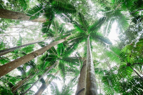 Fraser Explorer K'gari 2-Day Tour - Australia Accommodation 2