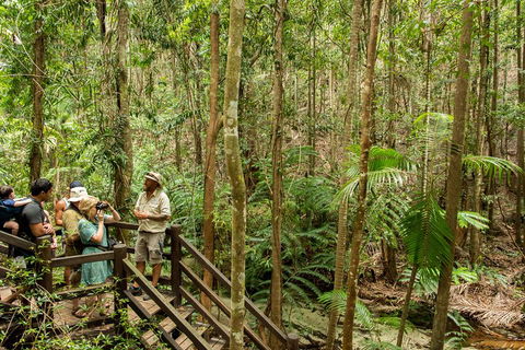Fraser Explorer K'gari 2-Day Tour - Australia Accommodation 5
