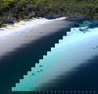All-Inclusive Fraser Island Day Tour - Australia Accommodation