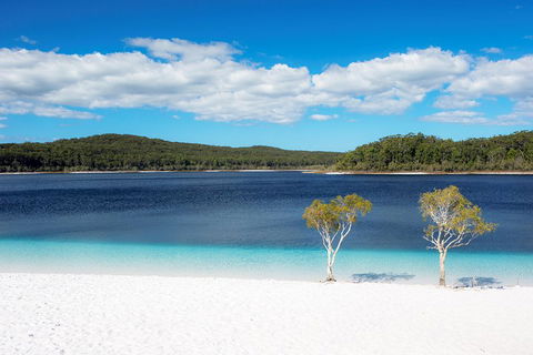 All-Inclusive Fraser Island Day Tour - Australia Accommodation 3