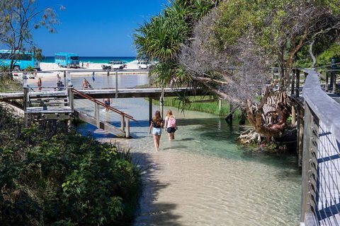 All-Inclusive Fraser Island Day Tour - Australia Accommodation 4