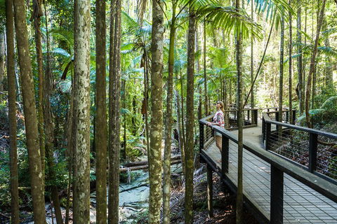 All-Inclusive Fraser Island Day Tour - Australia Accommodation 5