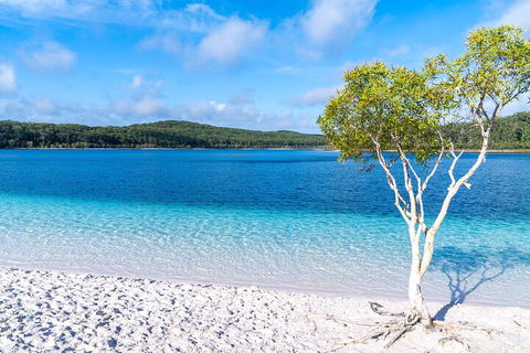 Lake McKenzie Full-Day Tour With Lunch From Hervey Bay - Australia Accommodation 1