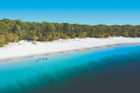 Lake McKenzie Full-Day Tour With Lunch From Hervey Bay - Australia Accommodation 4