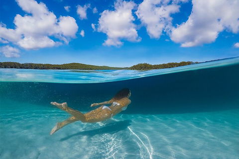 Lake McKenzie Full-Day Tour With Lunch From Hervey Bay - Australia Accommodation 5