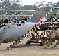 Off-Road Safari at Werribee Open Range Zoo - Australia Accommodation