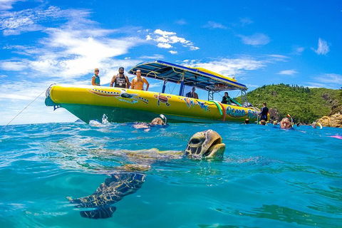 Great Barrier Reef Scenic Flight And Ocean Rafting Whitehaven Beach Day Trip - Australia Accommodation 1