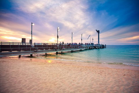 Tangalooma Island Resort Whale Watching Day Cruise With Dolphin Viewing - Australia Accommodation 3