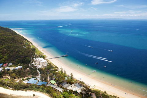 Tangalooma Island Resort Whale Watching Day Cruise With Dolphin Feeding - Australia Accommodation 2