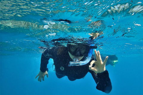 3 Day Whitsundays Sailing And Diving Adventure: Kiana - Australia Accommodation 0