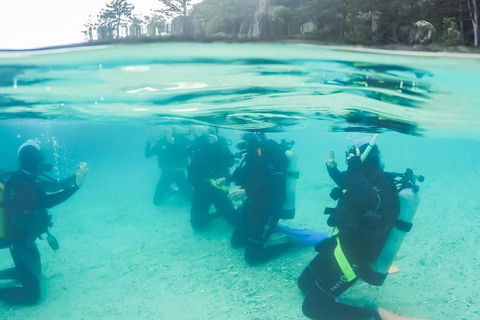 3 Day Whitsundays Sailing And Diving Adventure: Kiana - Australia Accommodation 4