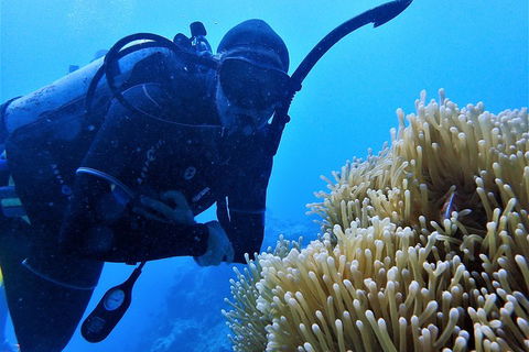 3 Day Whitsundays Sailing And Diving Adventure: Kiana - Australia Accommodation 5