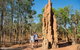 Litchfield National Park - Top End Day Tour From Darwin - thumb 4