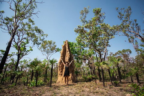 Litchfield National Park - Top End Day Tour From Darwin - Australia Accommodation 5
