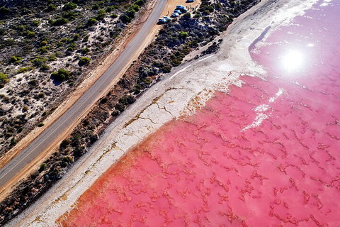 7-Day Exmouth Explorer Via Pinnacles Monkey Mia Ningaloo Reef Returning To Perth - Australia Accommodation 0