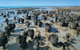 7-Day Exmouth Explorer Via Pinnacles Monkey Mia Ningaloo Reef Returning To Perth - thumb 3