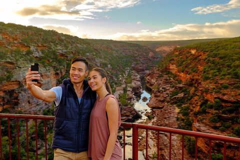 7-Day Exmouth Explorer Via Pinnacles Monkey Mia Ningaloo Reef Returning To Perth - Australia Accommodation 5