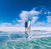 4-Day Coastal Loop via Monkey Mia Wild Dolphins Kalbarri Pinnacles Perth Return - Australia Accommodation