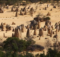 Pinnacles Sunset Dinner and Stargazing Experience a Small Group Tour - Australia Accommodation