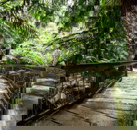 12 Apostles Eco-Friendly Great Ocean Road Iconic Adventure from Melbourne - Australia Accommodation