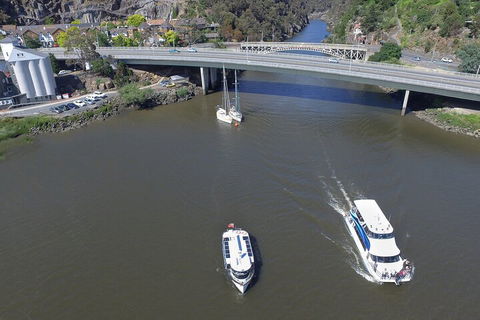 2.50 Hour Afternoon Discovery Cruise Including Cataract Gorge Departing At 3 Pm - Australia Accommodation 3