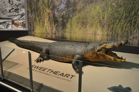 Explore Darwin City Sights Including Key Attractions - Australia Accommodation 2
