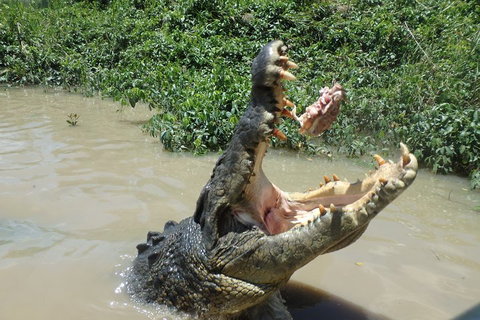 Litchfield And Jumping Crocodiles Full Day Trip From Darwin - Australia Accommodation 3
