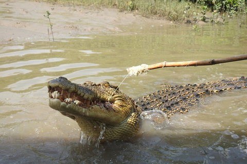 Litchfield And Jumping Crocodiles Full Day Trip From Darwin - Australia Accommodation 4