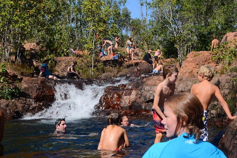 Litchfield And Jumping Crocodiles Full Day Trip From Darwin - Australia Accommodation 5