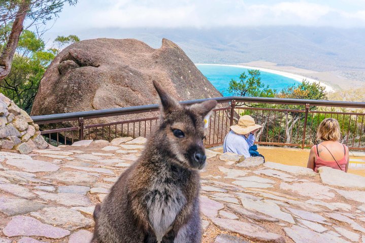  Australia Accommodation