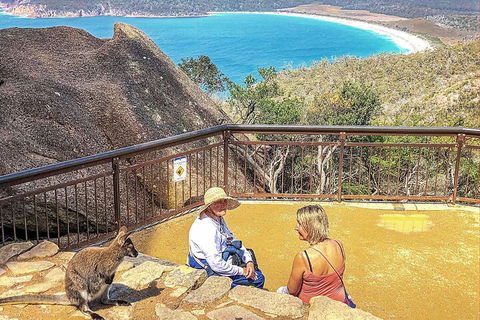 Wineglass Bay & Freycinet NP Full Day Tour From Hobart Via Richmond Village - Australia Accommodation 1