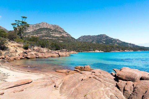 Wineglass Bay & Freycinet NP Full Day Tour From Hobart Via Richmond Village - Australia Accommodation 5