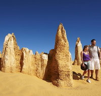 Pinnacles Day Trip from Perth Including Yanchep National Park - Australia Accommodation