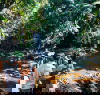 Aquaduck  Your choice of Gold Coast Rainforest Tour - Australia Accommodation