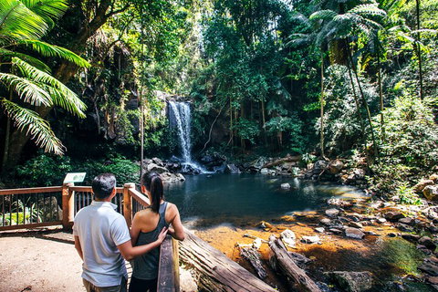 Aquaduck & Your Choice Of Gold Coast Rainforest Tour - Australia Accommodation 0