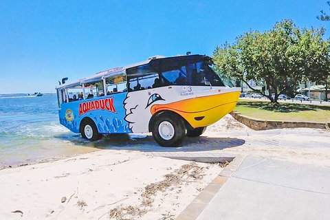 Aquaduck & Your Choice Of Gold Coast Rainforest Tour - Australia Accommodation 1