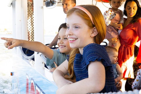 Aquaduck & Your Choice Of Gold Coast Rainforest Tour - Australia Accommodation 2