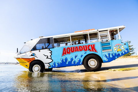 Aquaduck & Your Choice Of Gold Coast Rainforest Tour - Australia Accommodation 3