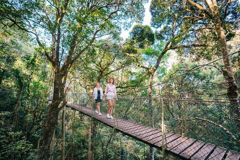 Aquaduck & Your Choice Of Gold Coast Rainforest Tour - Australia Accommodation 4