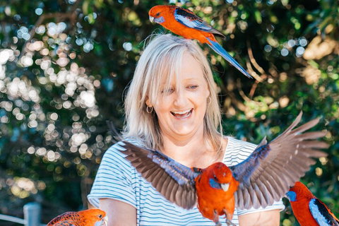 Aquaduck & Your Choice Of Gold Coast Rainforest Tour - Australia Accommodation 5