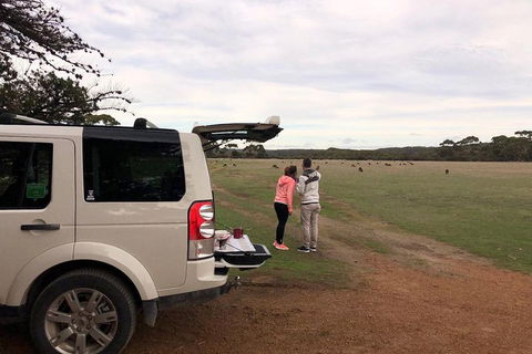 Kangaroo Island 4WD Tour - Flinders Chase - Australia Accommodation 3
